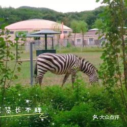 北方森林动物园儿童票怎么买，北方森林动物园门票
