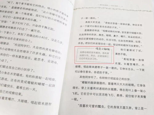 这件事,我做对了作文500字