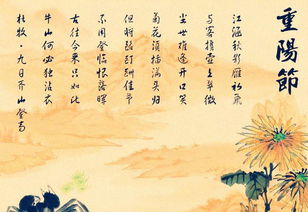 重阳诗歌，重阳诗配画