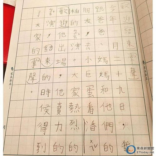 用只好造句