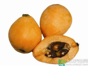 枇杷核怎么种植发芽快，枇杷核发芽了再怎么养