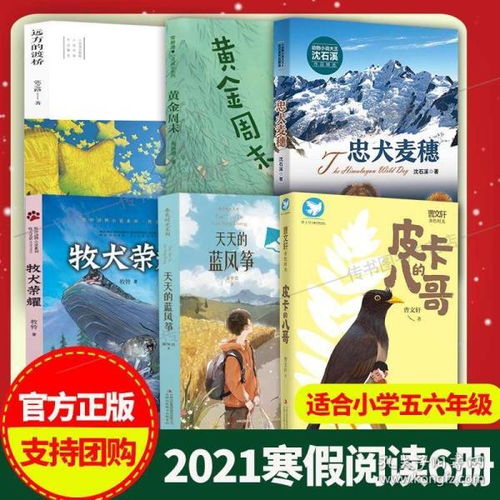 天天的蓝风筝好书推荐，天天的蓝风筝照片大全大图