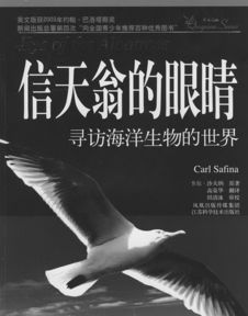借我一双慧眼作文，借我一双慧眼吧