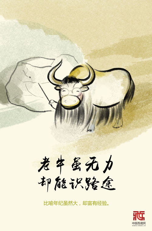 有关牛的谚语英文，有关牛的谚语和诗句