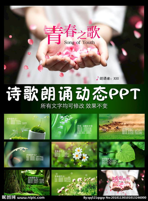觉醒年代青春之歌朗诵，青春之歌朗诵稿件