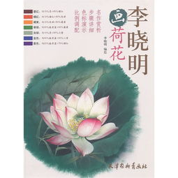 荷花读后感100字