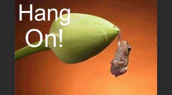 hang过去式的两种意思及用法，hang过去式区别