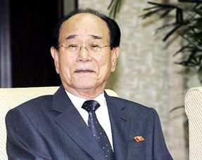金永南 村山富市，金永南访问文莱