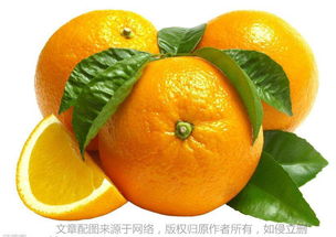 柚子用英语怎么说???