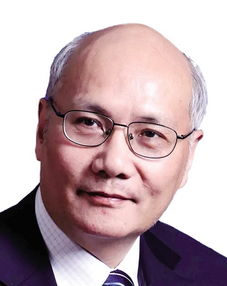 蒋洪新，蒋洪简介