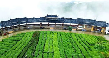 广西柳州市三江县属于哪个省