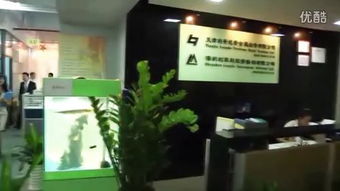 天通金正规吗?