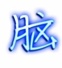 电脑的脑笔顺怎么写