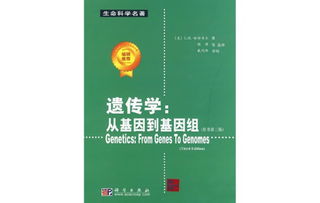 忘川风华录李师师技能强度如何忘川风华录手游李师师人物简介