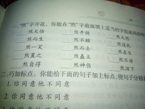 近义词组成的词语