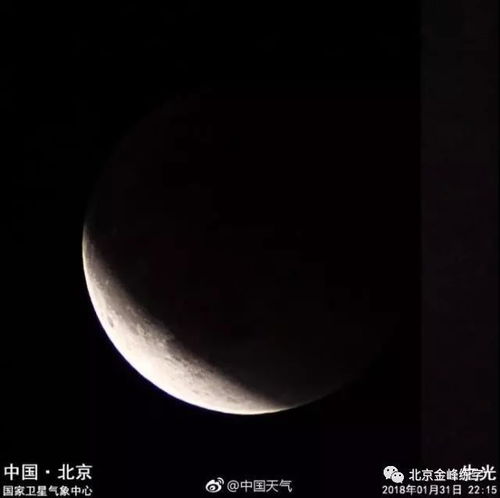 明月夜留别原文 明月夜留别原文及翻译