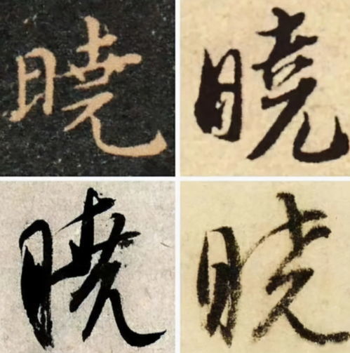 ”棹”的读音