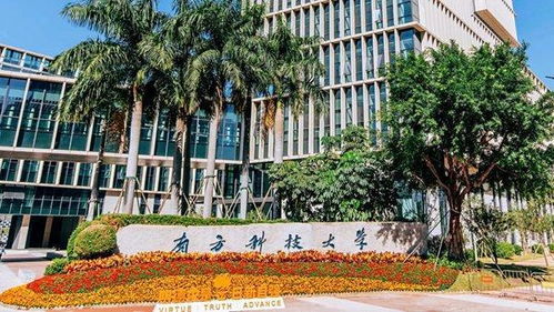南方科技大学是几本全国排第几，南方科技大学国际本科