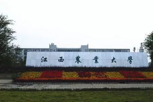 江西农业大学自考如何选择报考课程及流程?