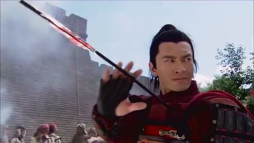求金兀术手下大将韩常的介绍