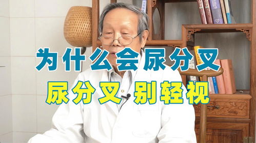 轻视什么意思?