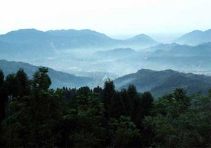 大坪山公园简介，大坪山郑成功公园