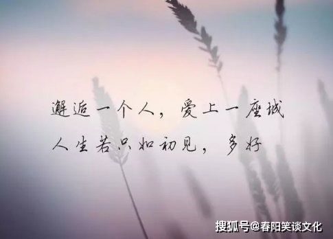感情中,是不是有一种深爱,叫放手让你走?
