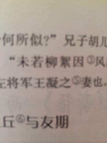 红尘情未了的意思，望岳未了的意思