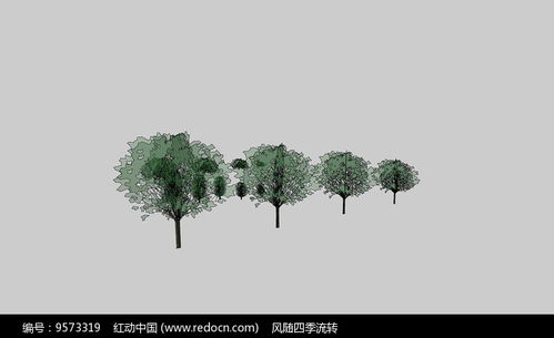 树丛的拼音，树丛和树林的区别