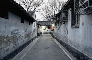 街头的街的组词
