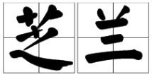 芝兰什么意思