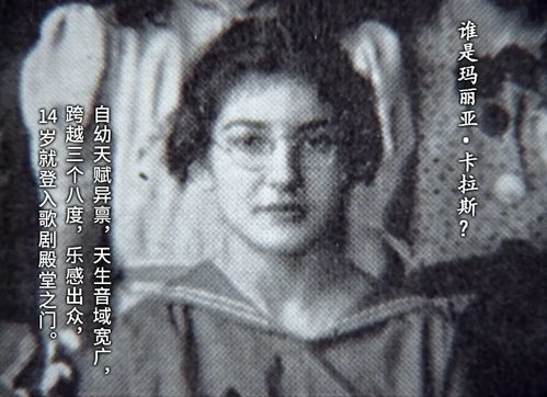 蜚声怎么读，蜚声世界