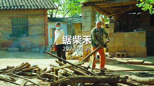 柴禾和柴火的区别