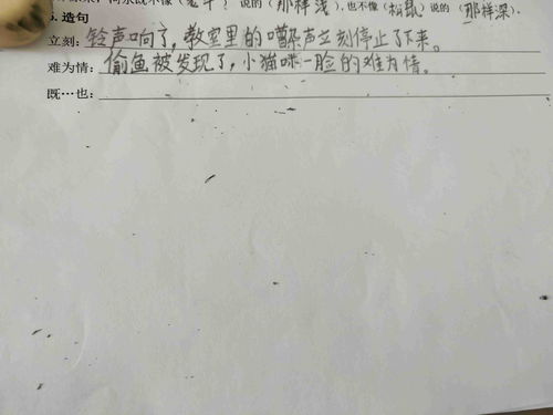 用既又造句
