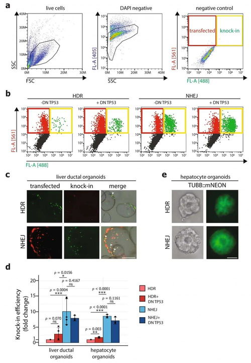 crisper-cas9，crispr-cas9