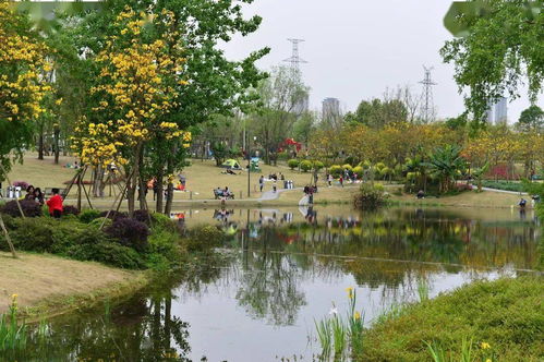 长春北湖公园属于什么街道什么社区