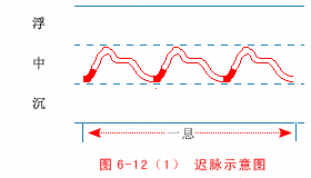芟除怎么读，删除的微信好友怎么找回