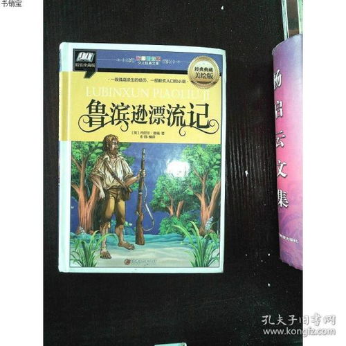 鲁滨逊漂流记精彩句段