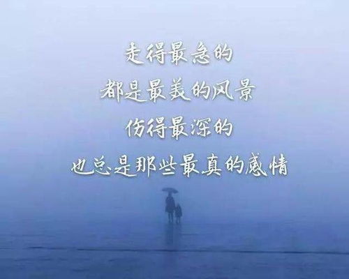 不什么思索?