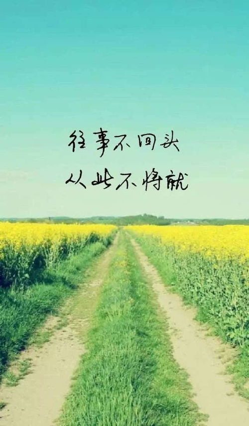 油菜花用英语怎么说
