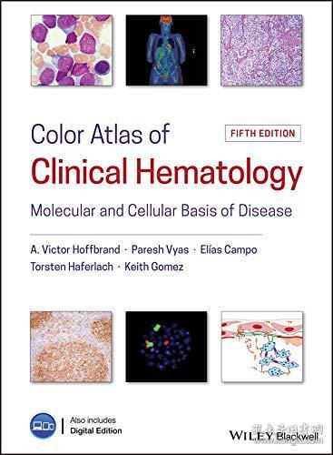 hematology analyzer是什么意思