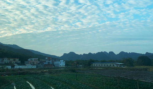 九龙镇属于哪个省哪个市，九龙镇简介