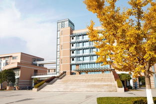 上海应用技术大学如何