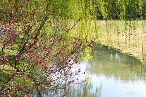 山穷水尽疑无路,柳暗花明又一春的含义?