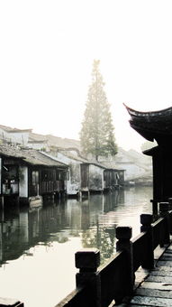 水墨江南什么意思
