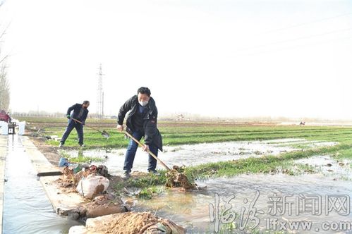 不误农时的谚语，不误农时春耕忙