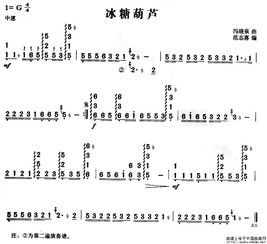 歌曲冰糖葫芦歌词，冰糖葫芦歌词冯晓泉
