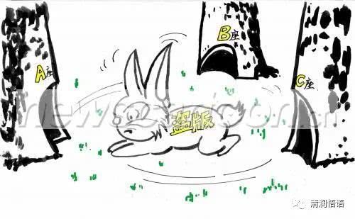 狡兔三窟是什么生肖360问答，狡兔三窟是什么生肖百度