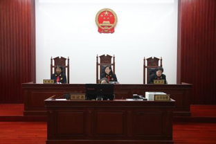 二审合议庭是什么意思，中级人民法院合议庭是什么意思