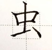 虫的笔画顺序正确写法